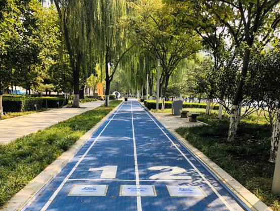 家門口的智能步道——南京花神湖智能體育公園正式開園啦！